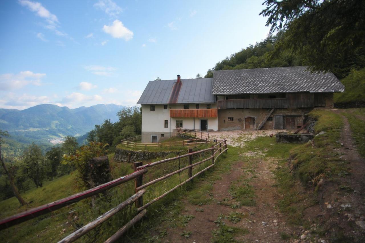 Apartma Gorski Razgled Srednja Vas v Bohinju Ngoại thất bức ảnh