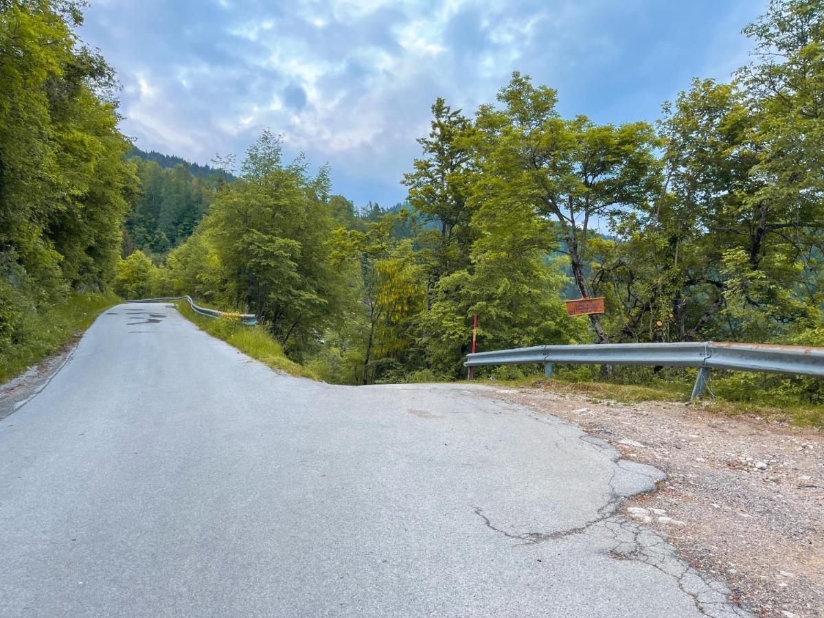Apartma Gorski Razgled Srednja Vas v Bohinju Ngoại thất bức ảnh