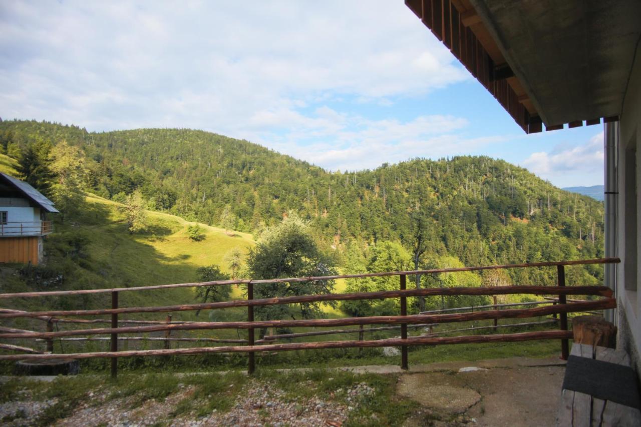 Apartma Gorski Razgled Srednja Vas v Bohinju Ngoại thất bức ảnh